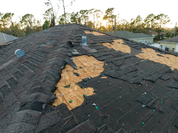 Best Roof Maintenance and Cleaning  in Denton, MD