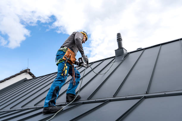 Best Gutter Replacement  in Denton, MD
